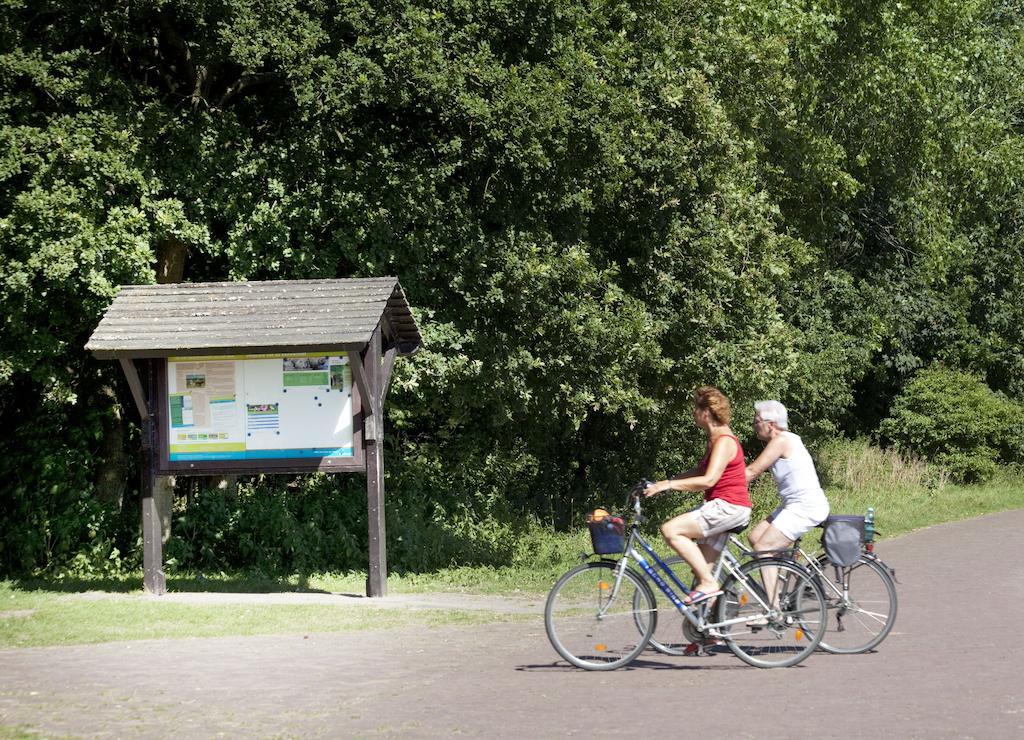 Bungalows - Bungalowpark Mooyeveld - Uniek Gelegen In De Duinen! Egmond-Binnen Ngoại thất bức ảnh