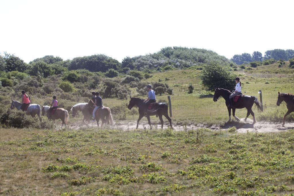 Bungalows - Bungalowpark Mooyeveld - Uniek Gelegen In De Duinen! Egmond-Binnen Ngoại thất bức ảnh