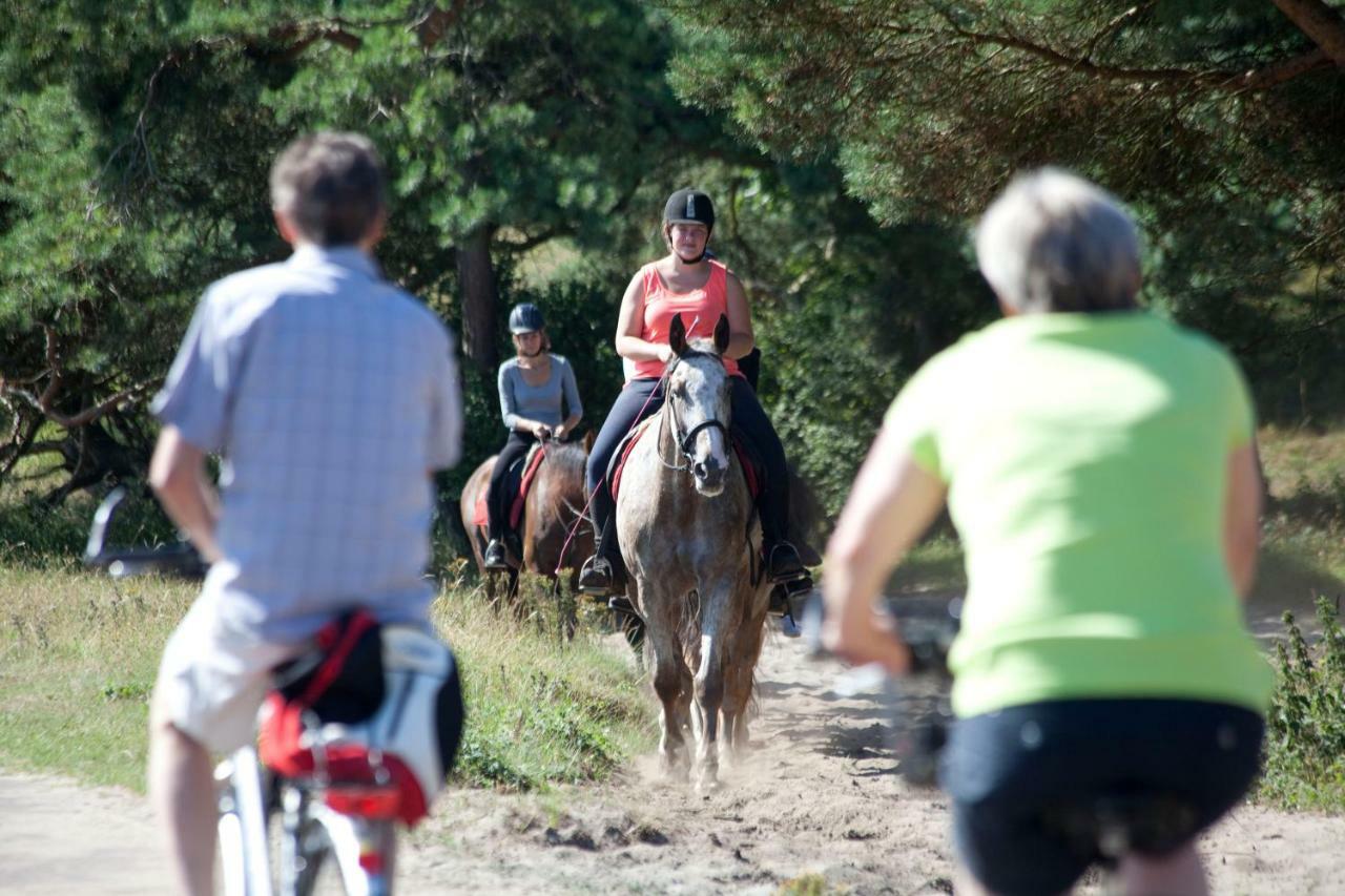 Bungalows - Bungalowpark Mooyeveld - Uniek Gelegen In De Duinen! Egmond-Binnen Ngoại thất bức ảnh